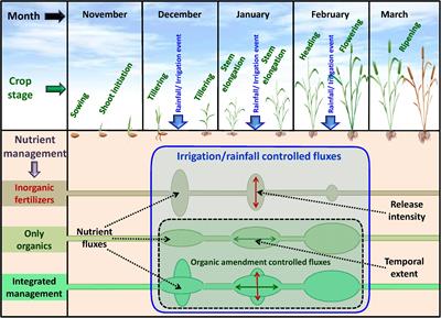 Nitrogen Availability and Use Efficiency in Wheat Crop as Influenced by the Organic-Input Quality Under Major Integrated Nutrient Management Systems